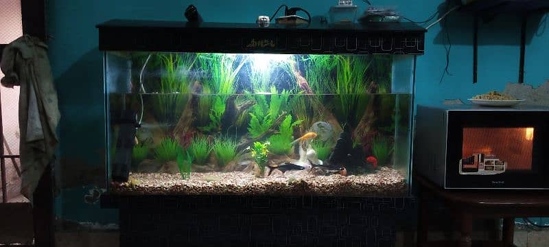 Aquarium fish Tank 0