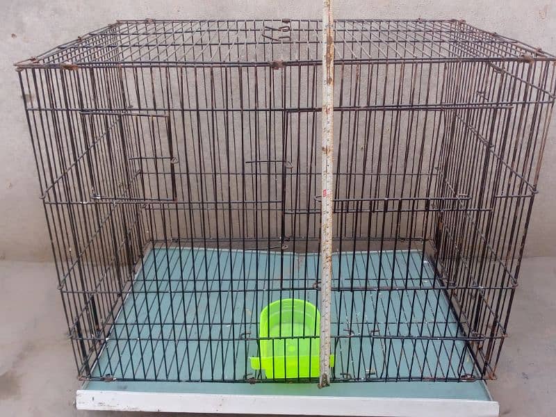 iron cage/pinjra for lovebirds pair 2