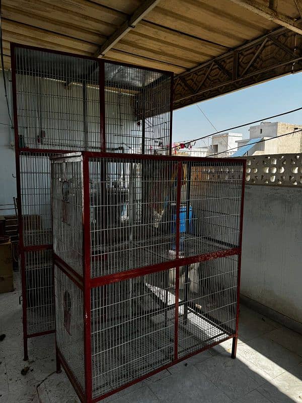 cages for chickens or birds 0