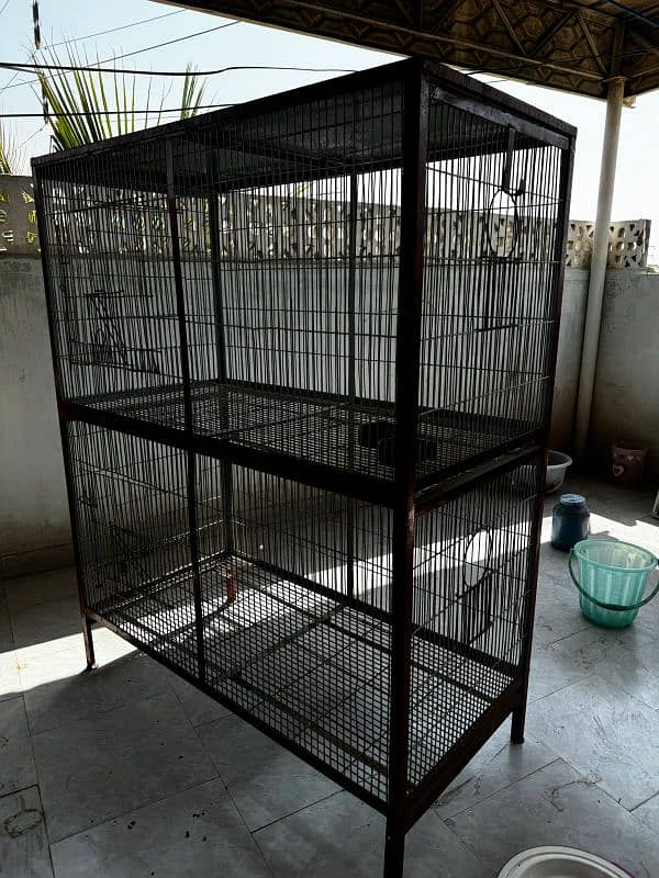 cages for chickens or birds 5