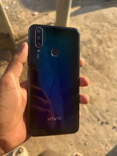 Vivo