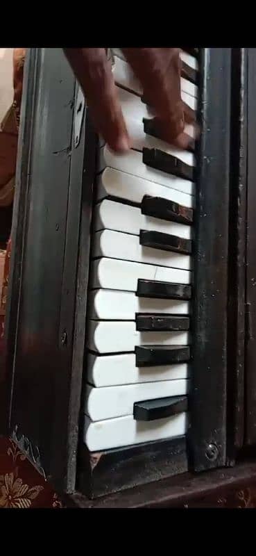 German jubbilet Harmonium for sale 2