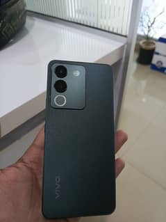 Vivo V29e for Sale