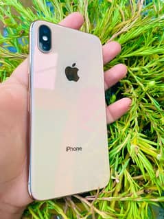 iPhone Xs • 256gb