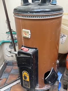 20 Litres Gas Water Geyser