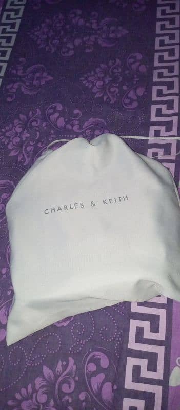 Charles & keith Charlot canvas crossbody bag 2