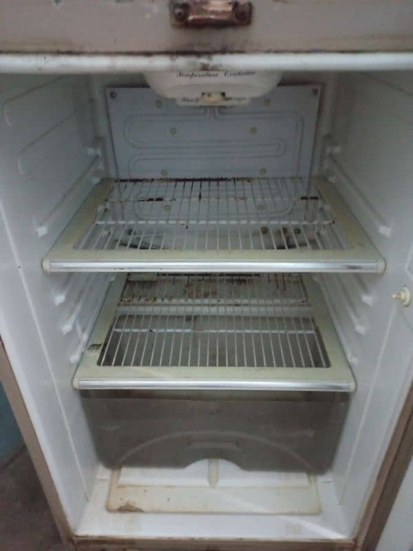 Deep freezer and fridge 2