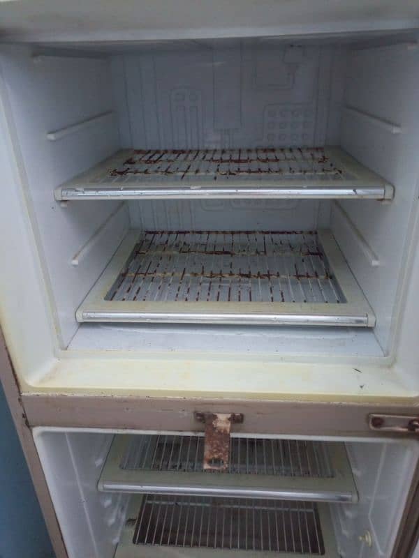 Deep freezer and fridge 5