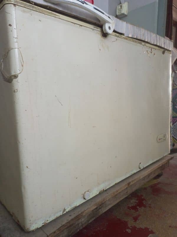 Deep freezer and fridge 10