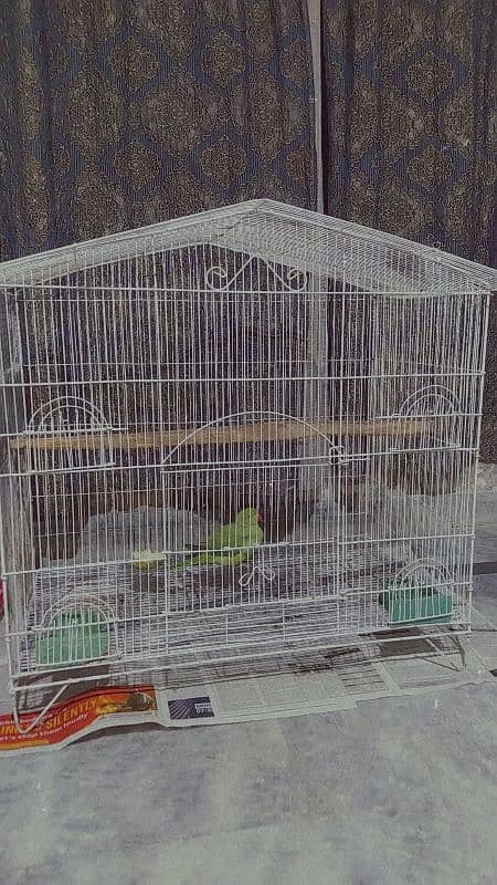 Big size cage for sale 1