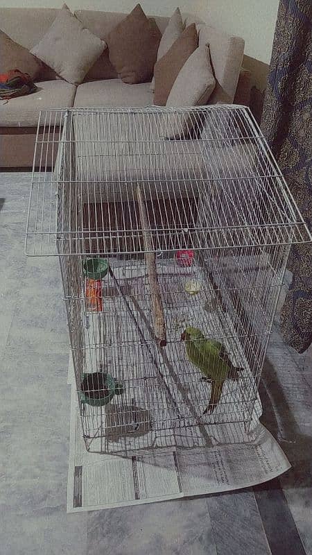 Big size cage for sale 2