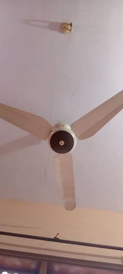 good condition ceiling fans