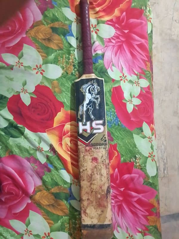 HS Hardball Bat . 1