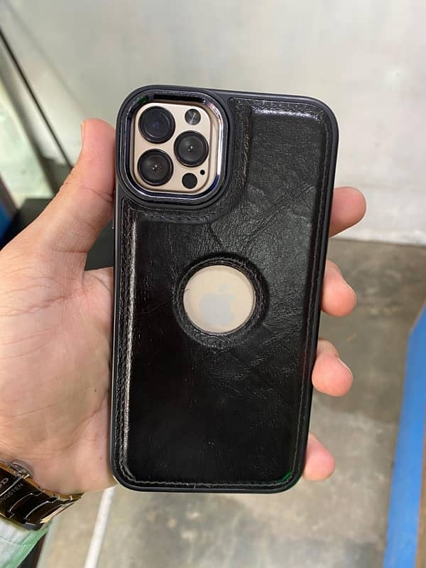 iphone  xr waterpack 1