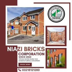 Best bricks & tiles in Pakistan | Wall bricks | Red Clay brick | Gutka