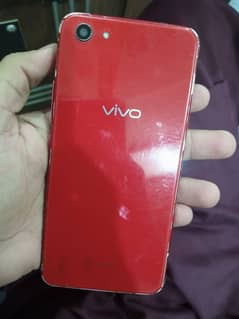 vivo