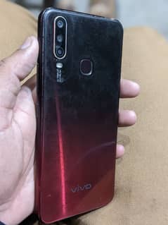 Vivo