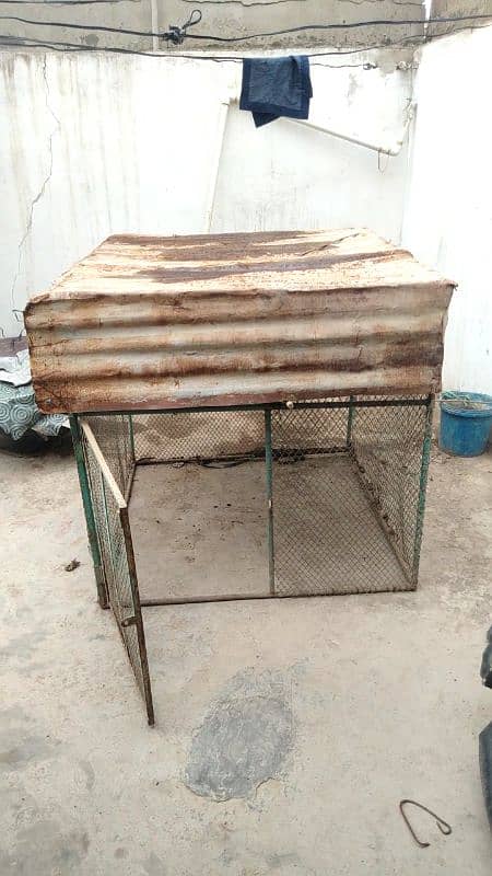 cage for  urgent  sale 1