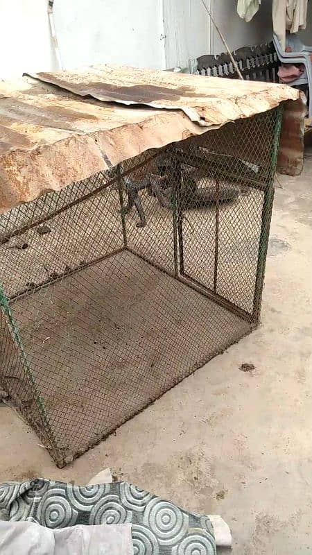 cage for  urgent  sale 2