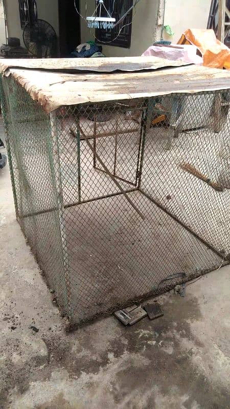 cage for  urgent  sale 4