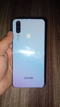 Vivo