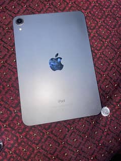 ipad mini 6