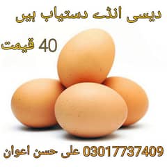 dasi eggs available