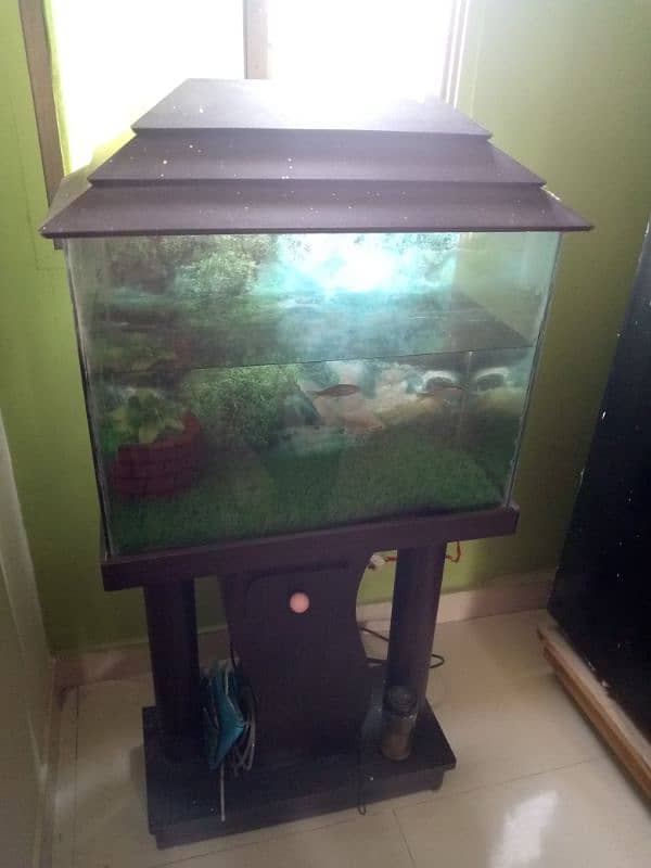 Fish Aquarium with Trolly 0