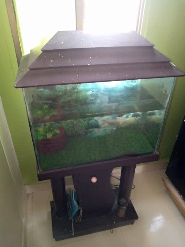 Fish Aquarium with Trolly 1