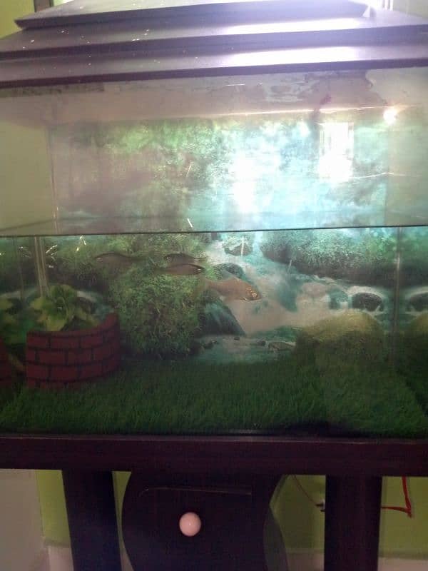 Fish Aquarium with Trolly 2