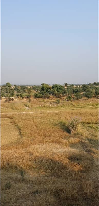 700 Kanal Agricultural Land For Sale In Balksar 0