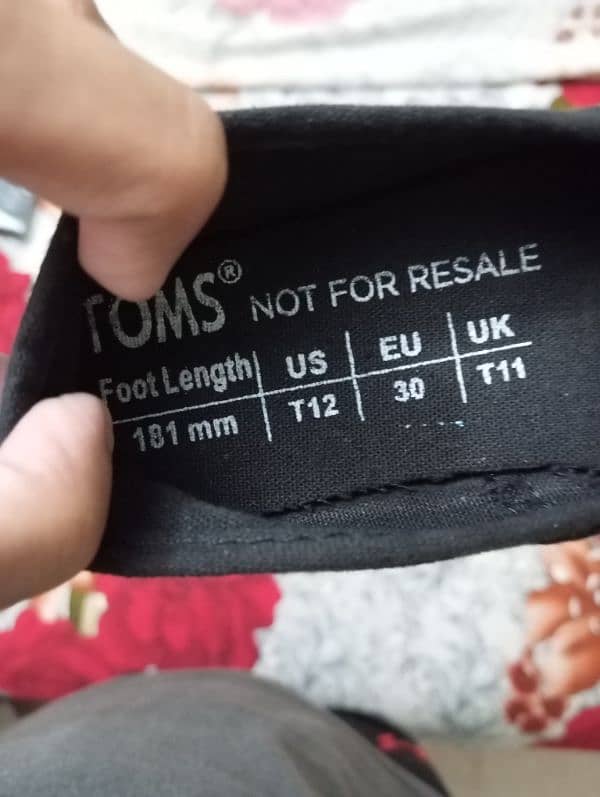 Original New TOMS Canvas Shoes read full add 3