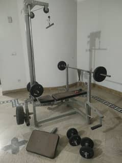 home gym equipment weight plates and bench press