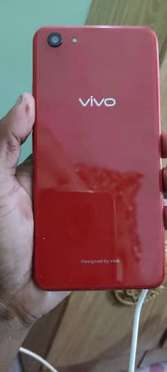 vivo