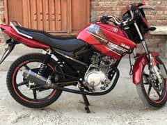 Yamaha ybr 125