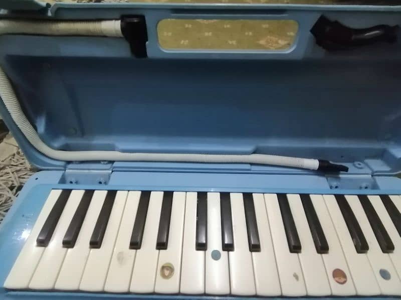 melodica 1