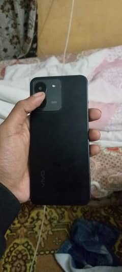 vivo