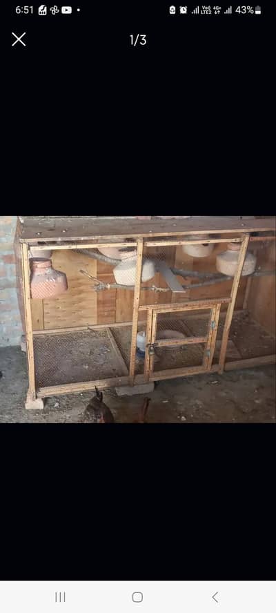 parrot cage