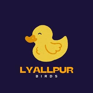 Lyallpur