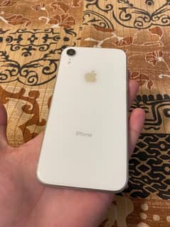 iPhone xR