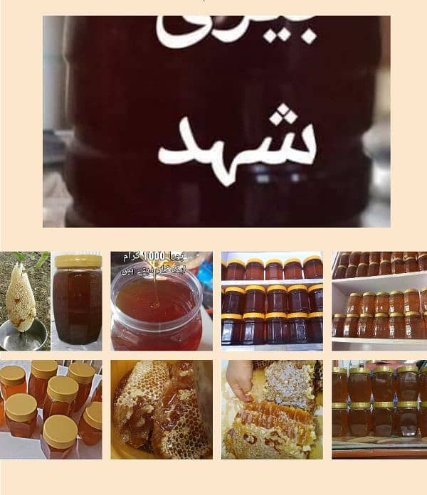 pure honey 1600 per kg 2