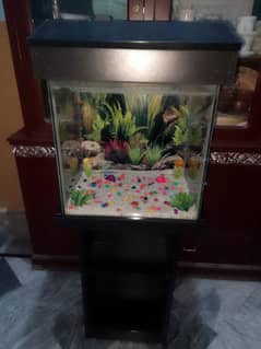 aquarium for sale