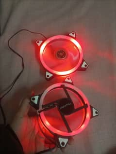 Thunder rgb fans