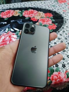 iPhone 11 pro