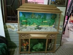 Fish Aquarium