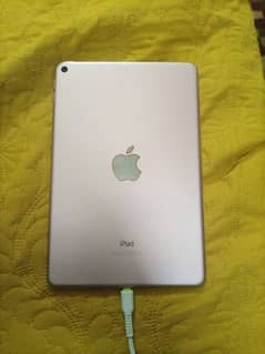 ipad mini 5