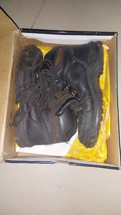 Caterpillar Safety Shoes