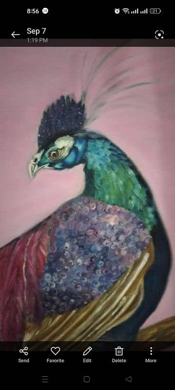 beautiful peacock painting 1