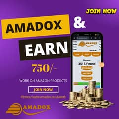 Online Business with Amadox