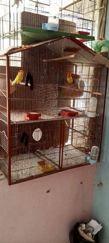 cage for sale for all birds master cage and 2 portion partition cage 0